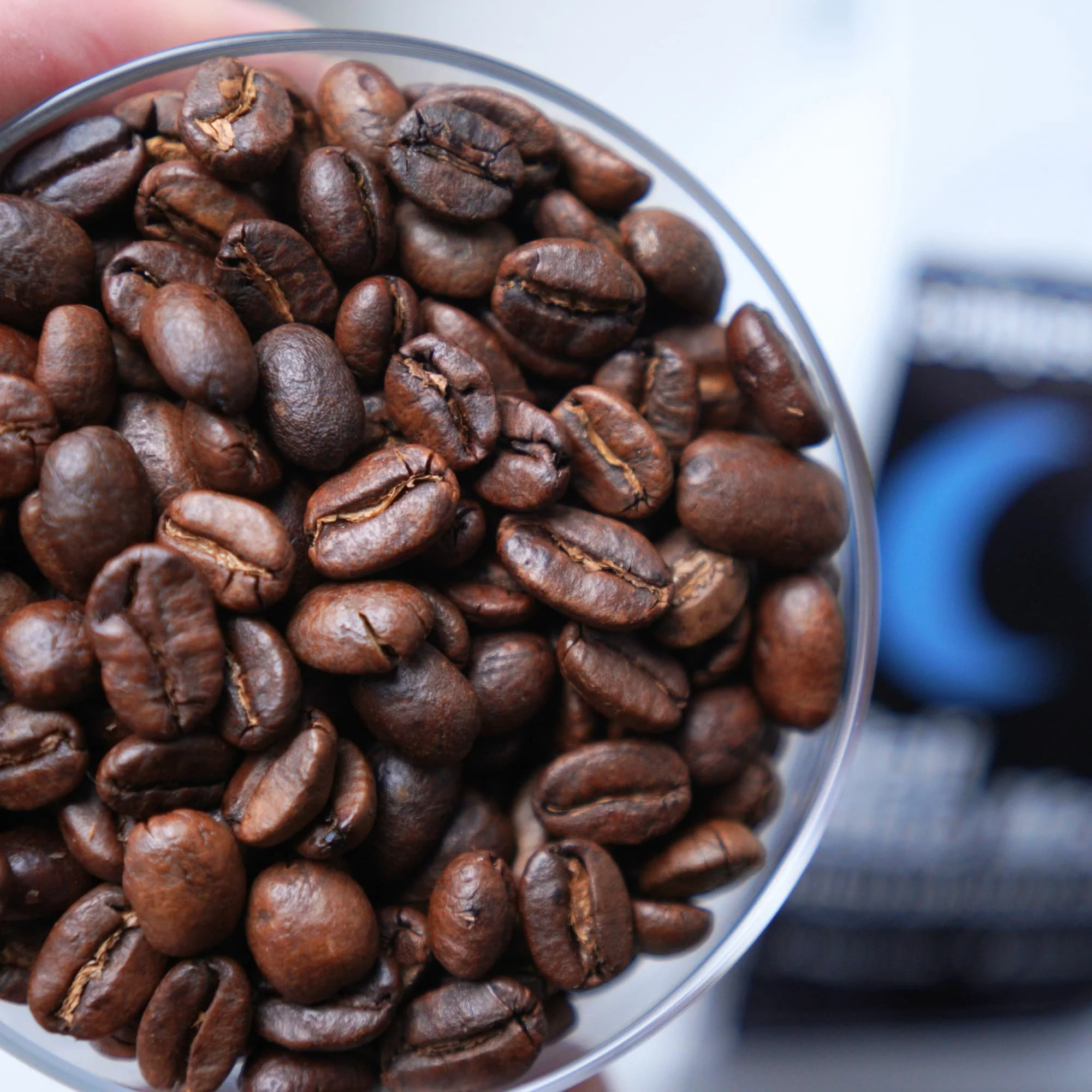 Bali Blue Moon Coffee - Image 11